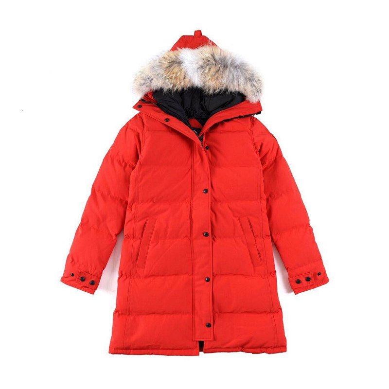 Canada Goose